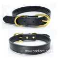 Leather dog collar with gold buckle collar